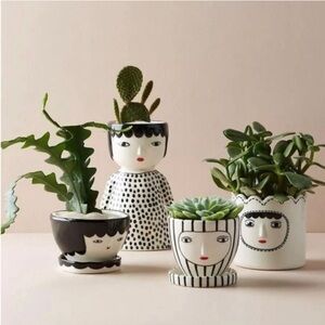 Anthropology face planters by Kinska Full set